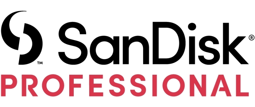 SanDisk Professional