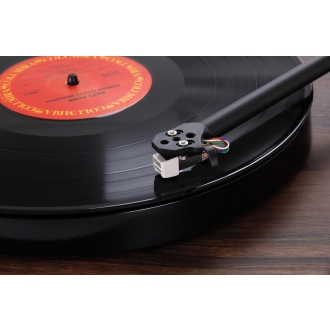 Rega, Planar 1 - Walnuss